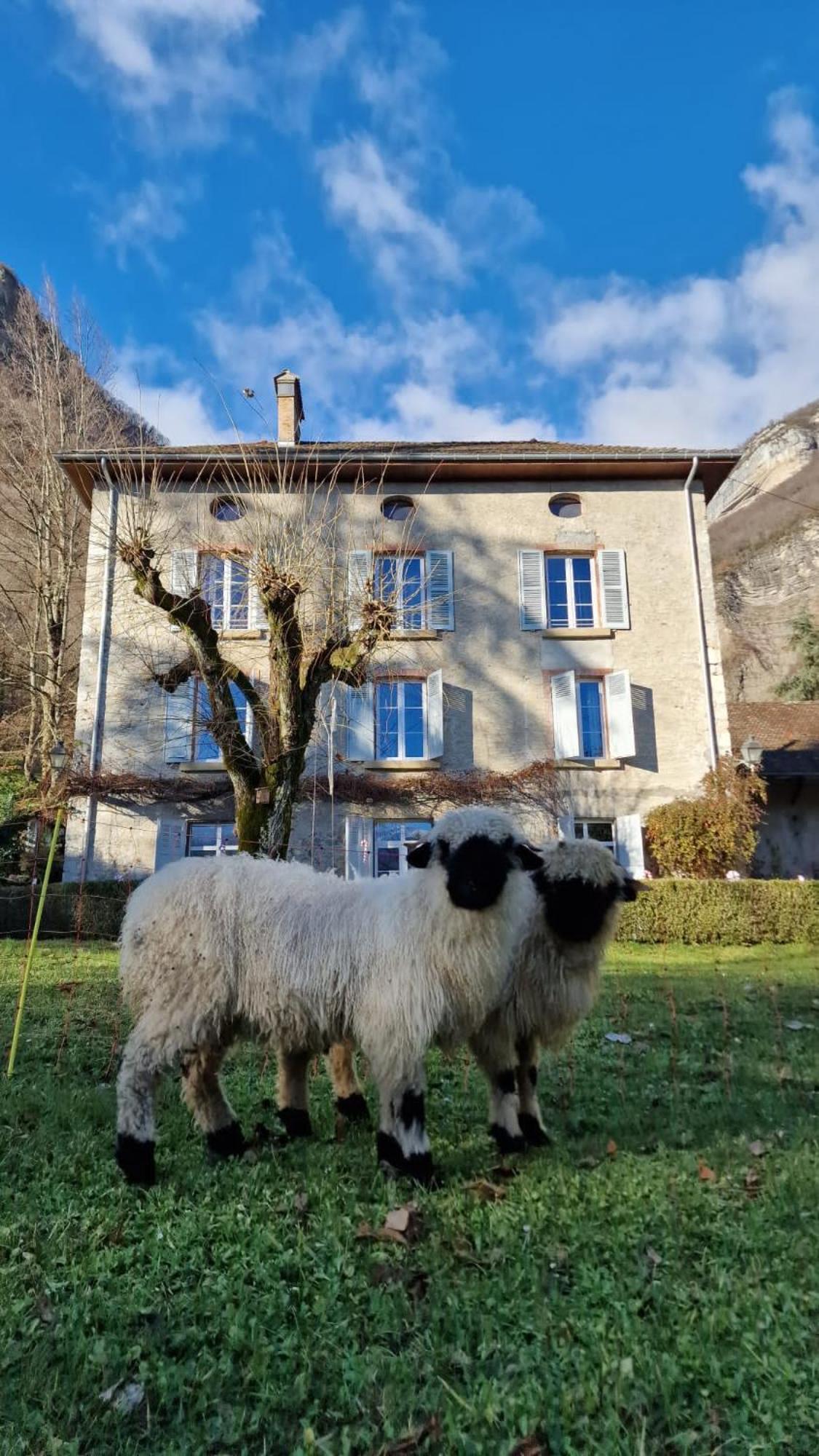 Chateau Monts Blancs Lumbin Kültér fotó
